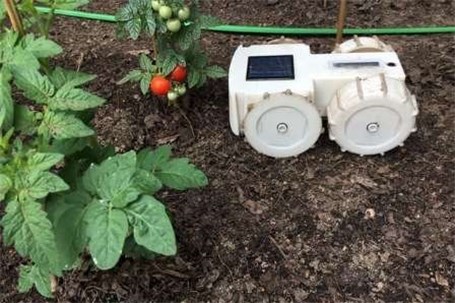 ساخت روبات محافظ مزرعه