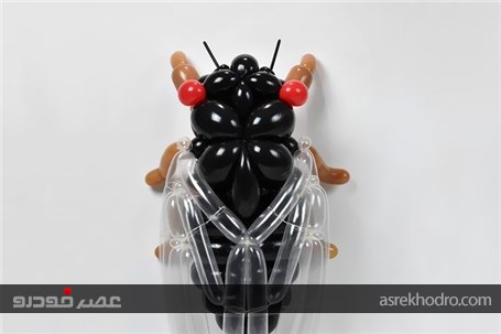 ساخت اشکال باورنکردنی از حیوانات بادکنکی توسط یک هنرمند ژاپنی