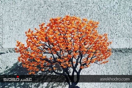 درختان بونسای مصنوعی که با هزاران درنای مینیاتوری ساخته شده‌اند