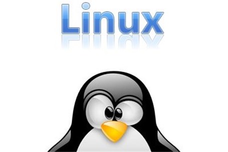 نسخه ۱۸.۳ از لینوکس مینت با نام «Sylvia» معرفی شد