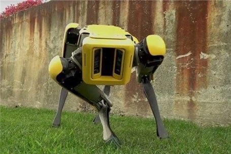 ربات چهارپا که به اندازه سگ‌های واقعی توانمند است + عکس