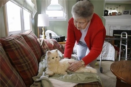 این گربه رباتیک داروهای صاحب سالمندش را یادآوری می کند