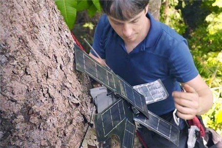 هوش مصنوعی و گوشی‌های قدیمی هوآوی به کمک جنگل‌ها می‌آیند