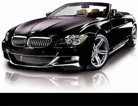 تصادف BMW Z 4 با گوزن(گزارش تصویری)