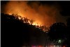 آتش سوزی جنگلی 20خودرو را سوزاند