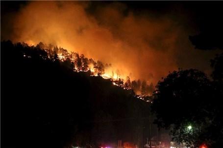 آتش سوزی جنگلی 20خودرو را سوزاند