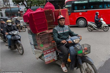 تعریف متفاوت ویتنامی ها از پیک موتوری