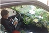 سبزترین تاکسی ایرانی