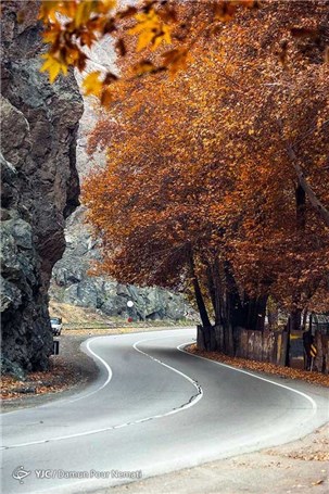 پاییز زیبای جاده چالوس