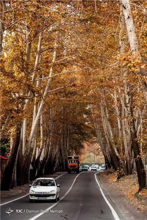 پاییز زیبای جاده چالوس