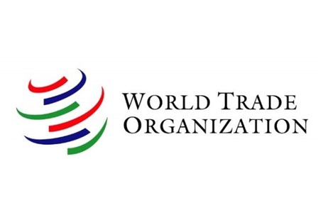 WTO؛ تیغ دولبه خودروسازی ایران