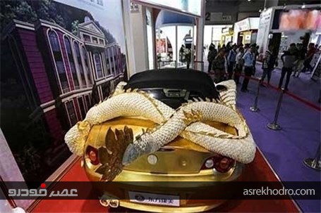 رونمایی از خودرویی عجیب در نمایشگاه چین