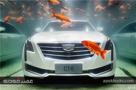 تبلیغ خلاقانه کدیلاک در چین؛ نمایش CT6 در تنگ ماهی!