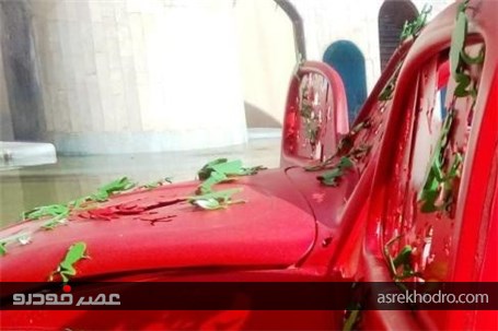 حمله قورباغه‌ها به یک اتومبیل در تهران