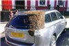 تعقیب 48 ساعته یک اتومبیل توسط 20000 زنبور عسل +عکس