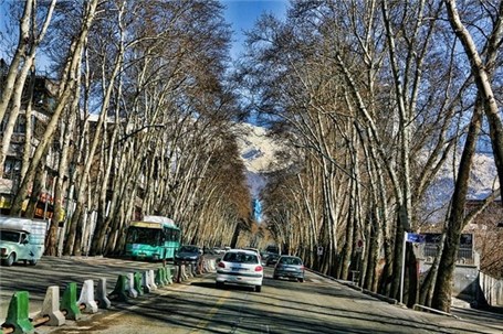 روش جدید پارک کردن در تهران !