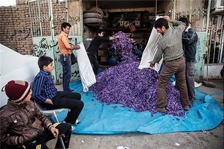نگهداری زعفران گران‌ترین ادویه جهان در پنچرگیری+عکس