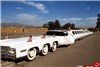 تصاویری از طولانی ترین خودروی جهان