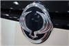 افتتاح شوروم مرکزی رامک خودرو در اندرزگو