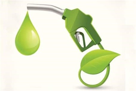 ۲ پروژه ملی برای توسعه تولید سوخت زیستی در کشور