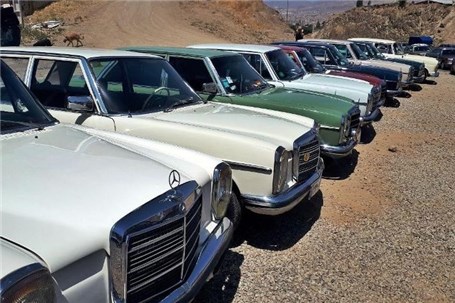 همایش خودروهای کلاسیک در شیراز برگزار می شود