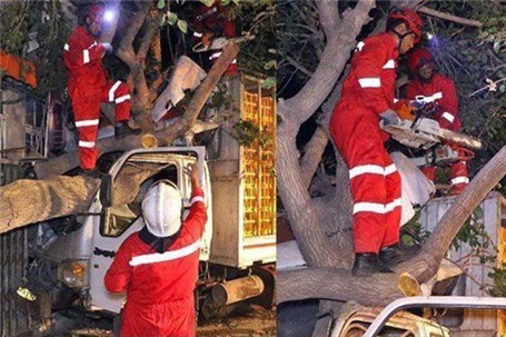 نجات معجزه آسای راننده کامیونت از بین خودرو و درخت