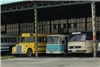 موزه اتوبوس‌های قدیمی در پایتخت راه اندازی می‌شود+ عکس