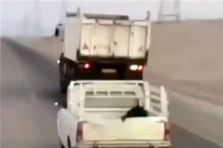 توقیف ۲ خودرویی که هنگام رانندگی در یزد اقدام به سوخت‌گیری کردند