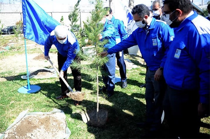 کاشت 600 اصله نهال در شرکت ایران خودرو