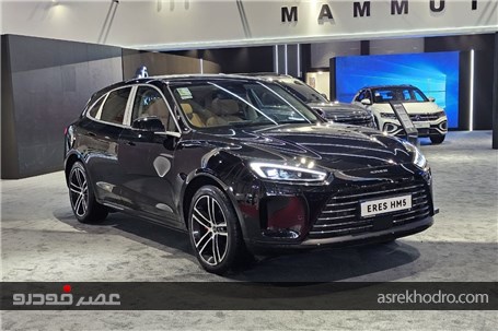 ۱۰ آپشن خاص خانواده ایرس