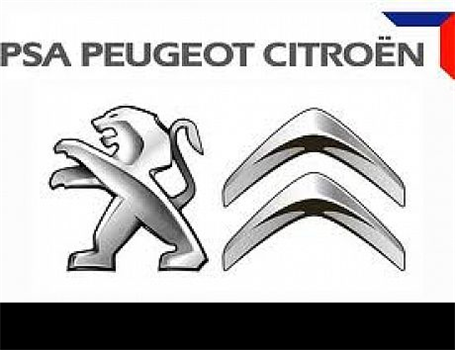 Giant French Automaker Suffers Mass Losses