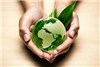 فراخوان محیط زیستی هلدینگ داتیس
