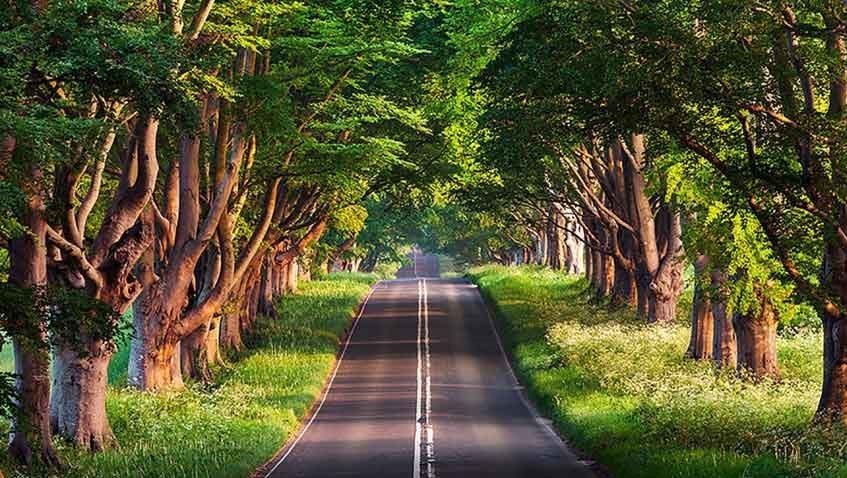 اطلاعات لازم برای سفر هوایی به زیباترین شهر شمال‌غرب، گرگان